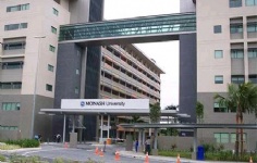 澳大利亞莫納什大學專業